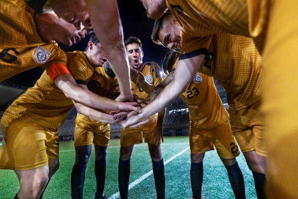 中国市场近 中国市场近